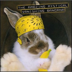 Amazing Mystical Vanishing Bandana (Standard) by Robert Haas