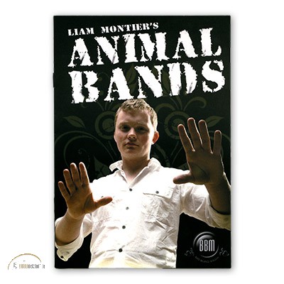 Animal Bands by Liam Montier and Big Blind Media