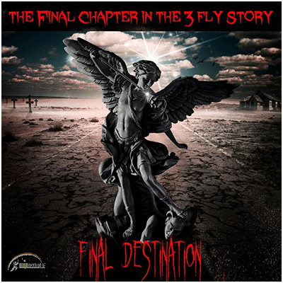 Final Destination (DVD & Gimmicks) by Matthew Wright