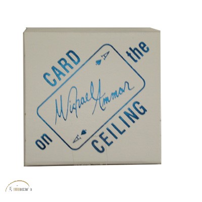 Card on Ceiling (Box) by Michael Ammar