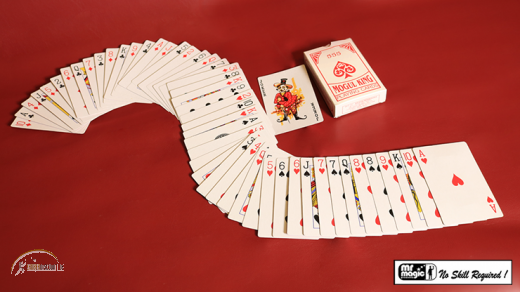 Electric Deck (52 Cards Bridge) by Mr. Magic