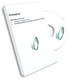 Subterfuge (Small) by Kenneth Sanders