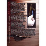 DVD Bandarizumu by Sean Scott