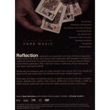 DVD Reflection by Bill Goodwin