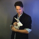 DVD Origami Effect by Andrew Mayne