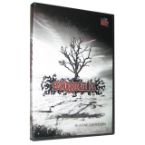 Stigmata by Wayne Houchin