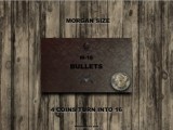 M-16 Bullets (Metal Coins)