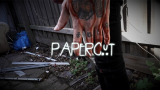 PaperCut by Beau Cremer (DVD)