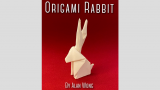 Origami Rabbit von Alan Wong