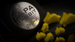 Papa Rabbit Hits The Big Time (Gimmicks und Online Anleitung) von DARYL