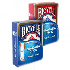 Niagara deck - Prediction (blue Bicycle)